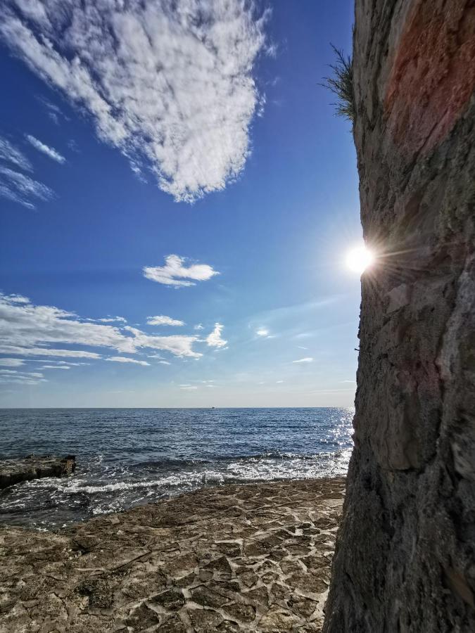 Aria Deluxe Superior 5 Star Apartment, Your Piece Of Heaven By The Sea & Park, With Sea & Park View Novigrad Istria 외부 사진